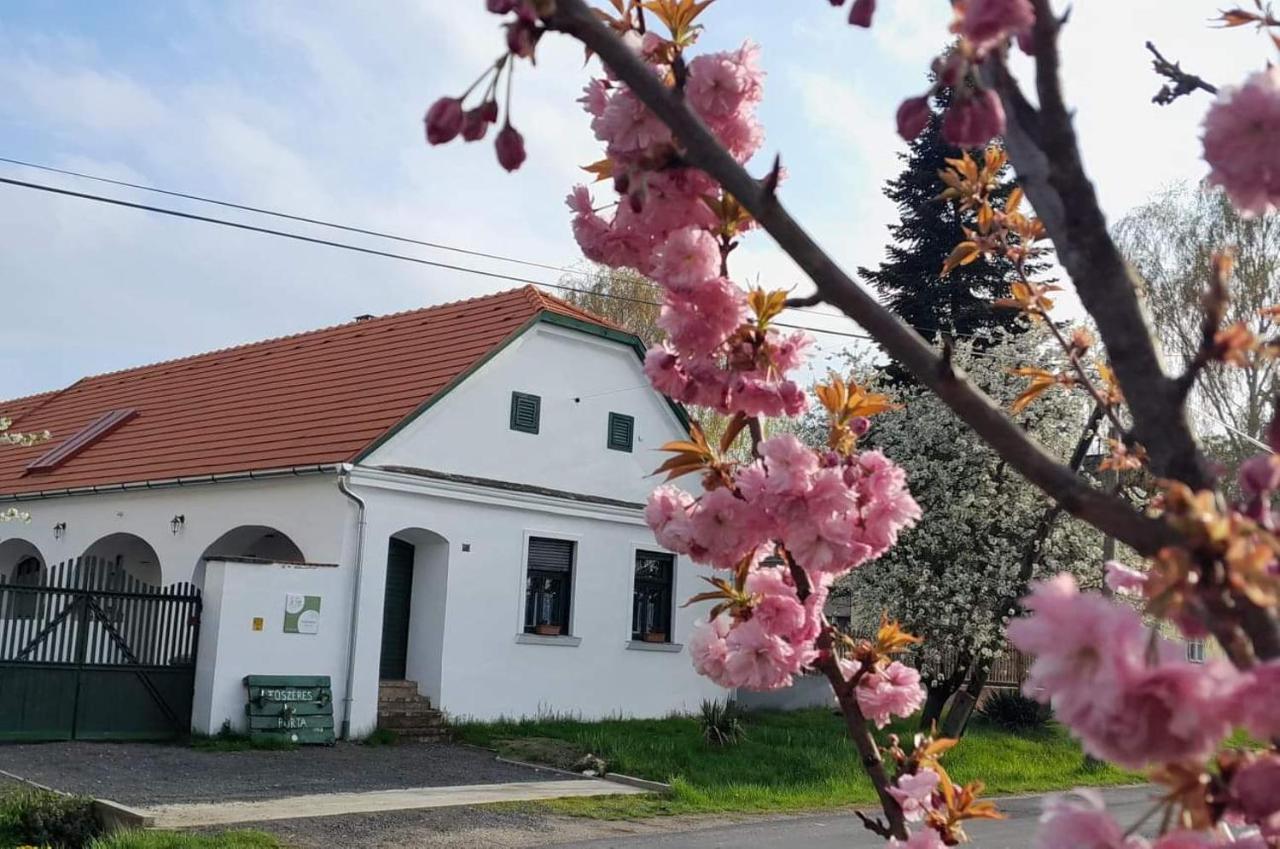 Fuszeres Porta Villa Mihalyfa Exterior foto
